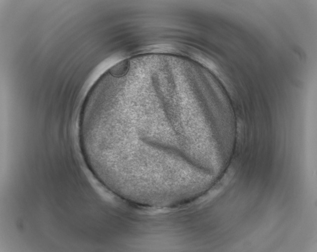 X0000113571426200910161508