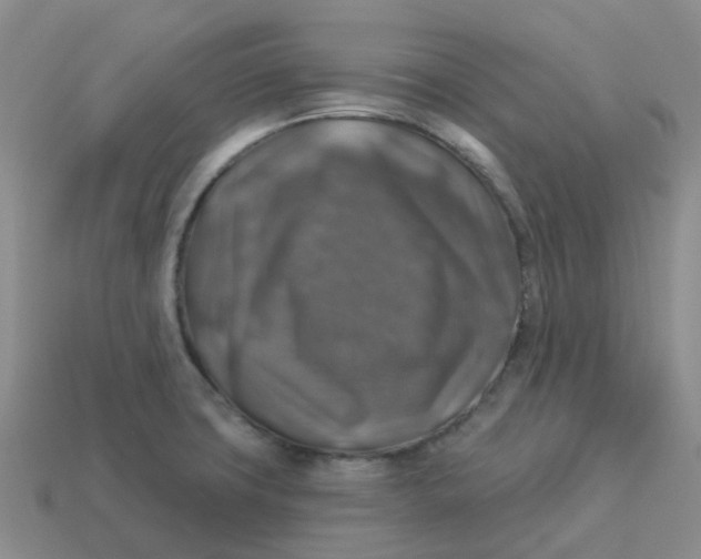 X0000113571427200910161508