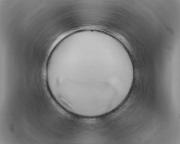 X0000113571428200910161508