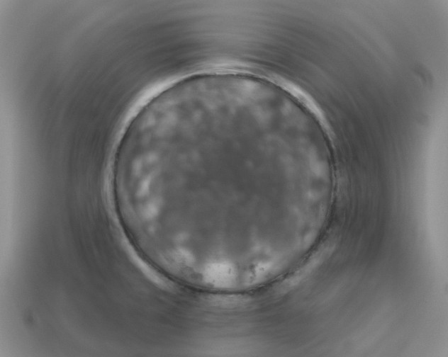 X0000113571429200910161508