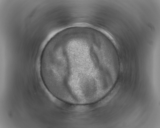 X0000113571430200910161508