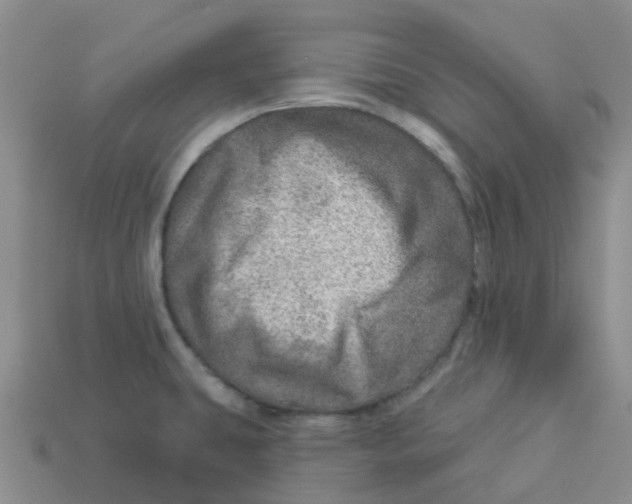 X0000113571431200910161508