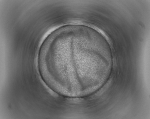 X0000113571432200910161508