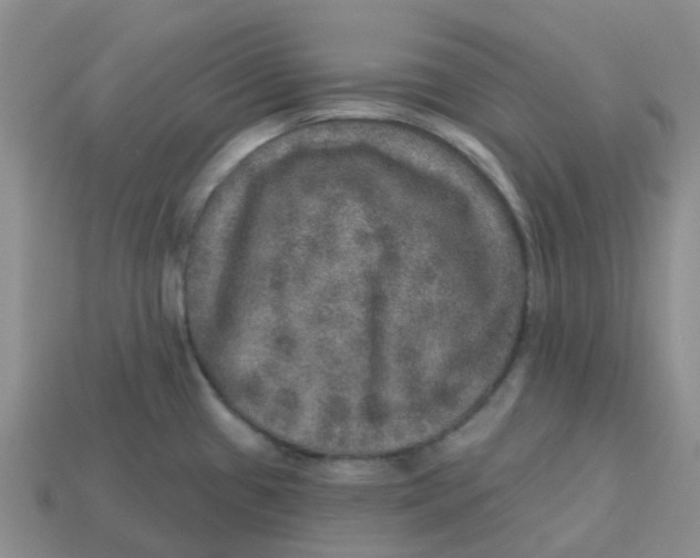 X0000113571433200910161508