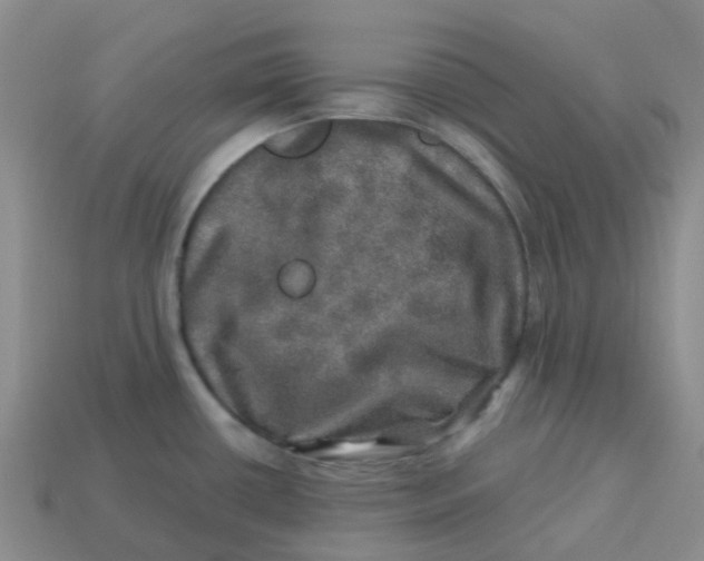 X0000113571434200910161508