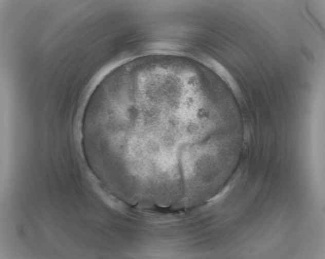 X0000113571435200910161508