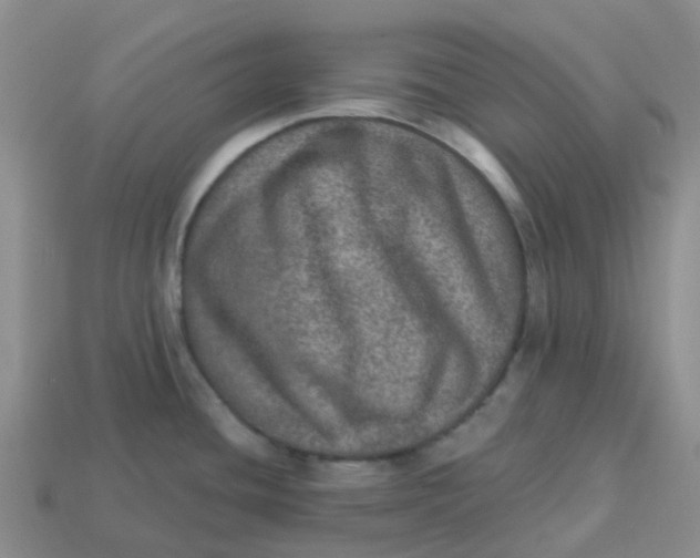 X0000113571436200910161508