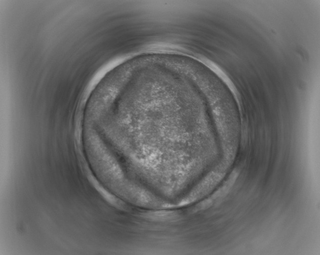 X0000113571437200910161508