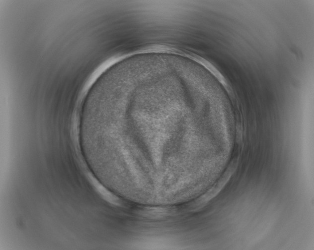 X0000113571438200910161508