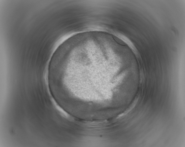 X0000113571439200910161508