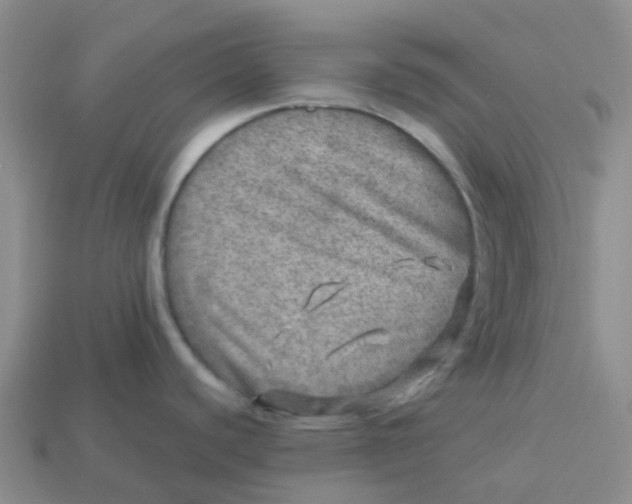 X0000113571440200910161508