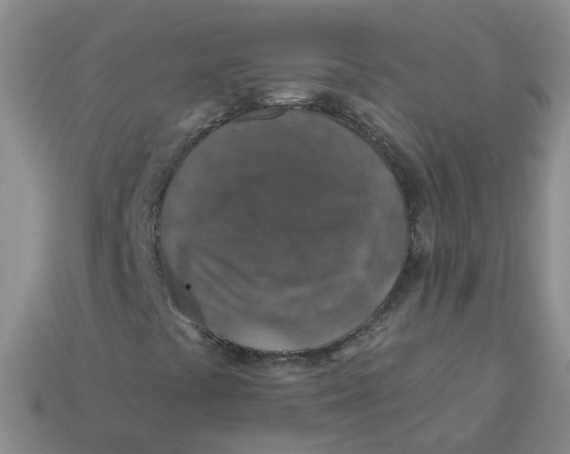 X0000113571441200910161508