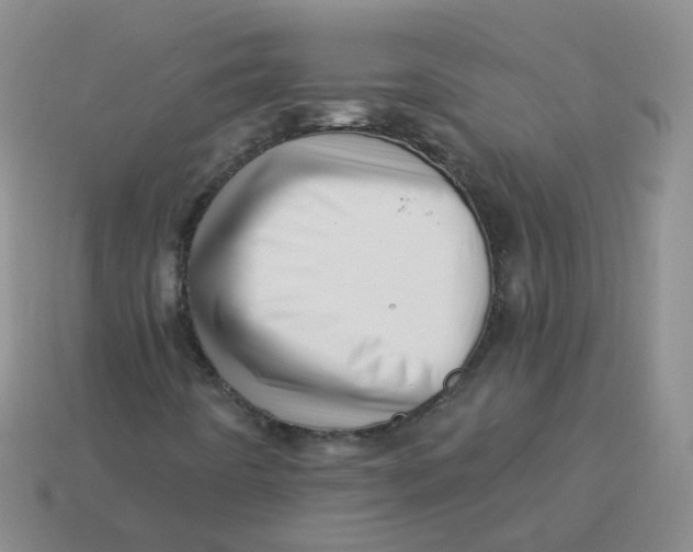 X0000113571442200910161508