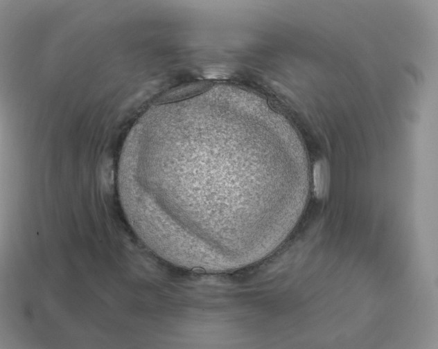 X0000113571443200910161508