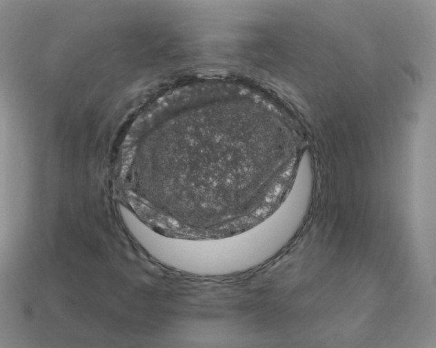 X0000113571445200910161508