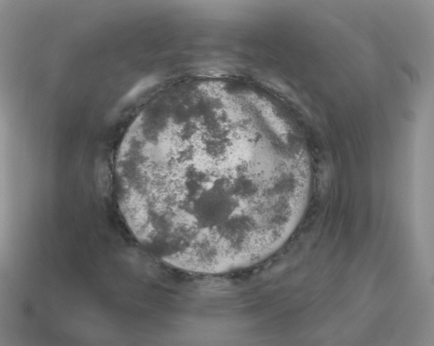 X0000113571446200910161508