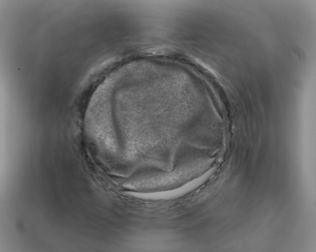 X0000113571447200910161508