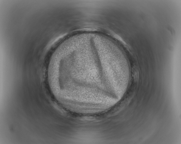 X0000113571448200910161508