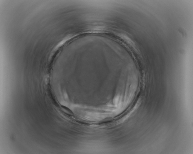 X0000113571449200910161508