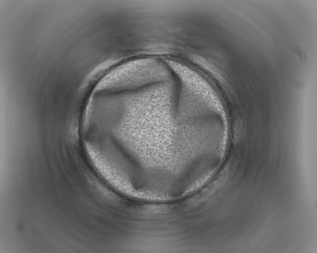 X0000113571451200910161508