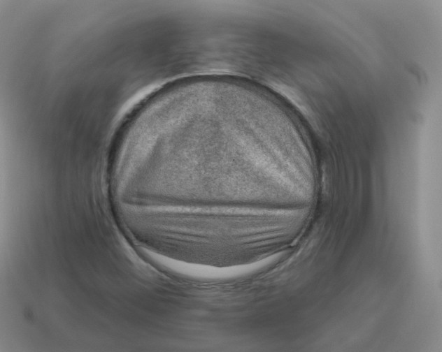 X0000113571452200910161508