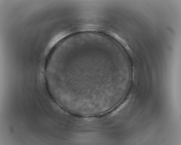 X0000113571453200910161508