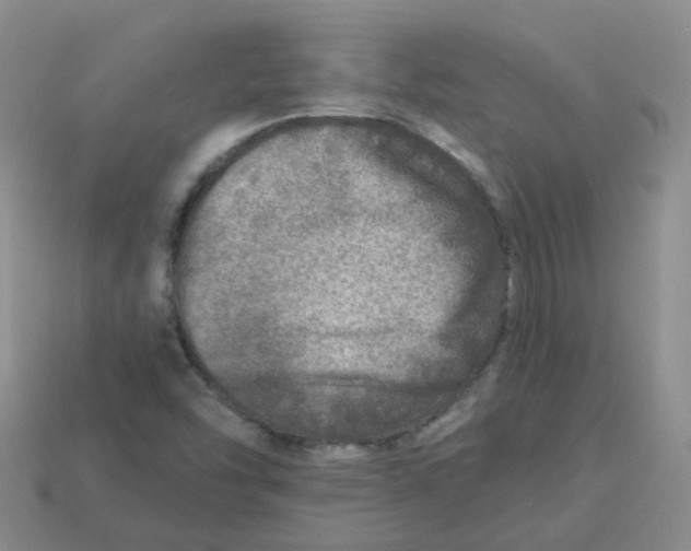 X0000113571454200910161508