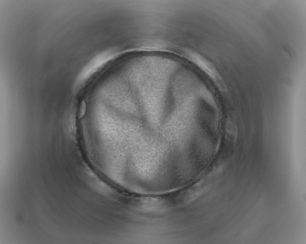 X0000113571456200910161508