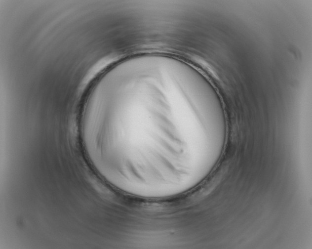 X0000113571458200910161508