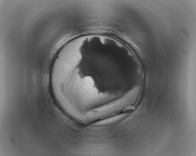 X0000113571459200910161507