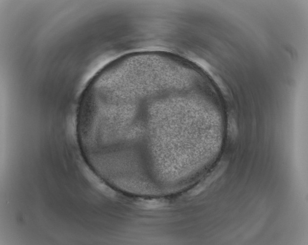 X0000113571460200910161507