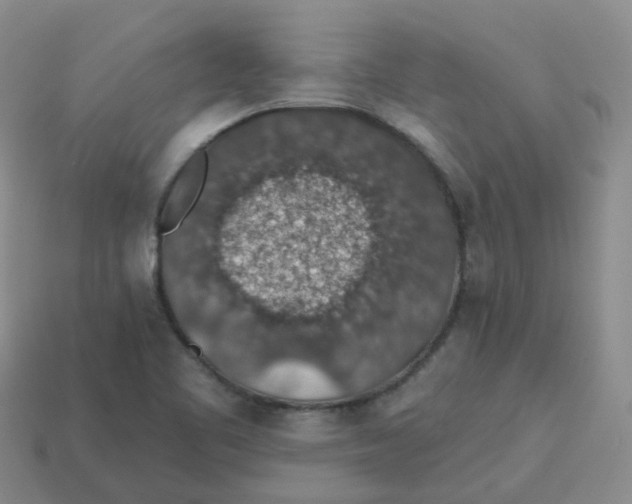 X0000113571461200910161507