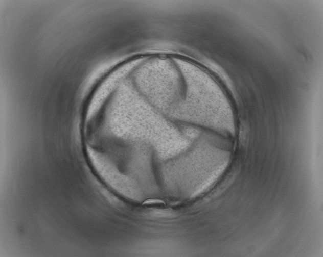 X0000113571464200910161507