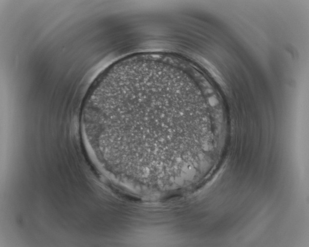 X0000113571465200910161507