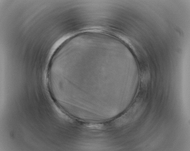 X0000113571466200910161507