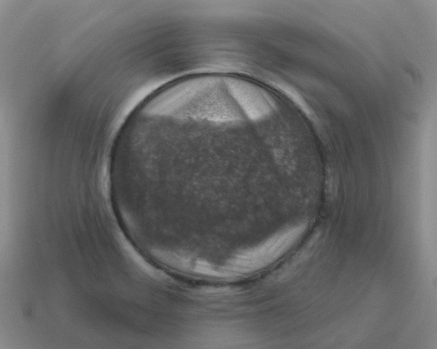 X0000113571468200910161507