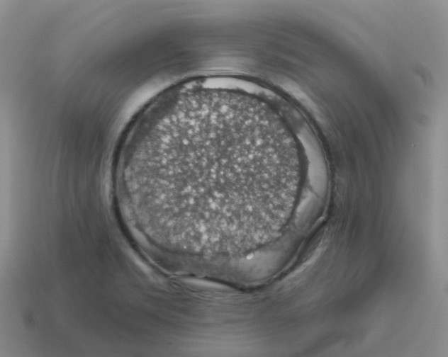 X0000113571469200910161507