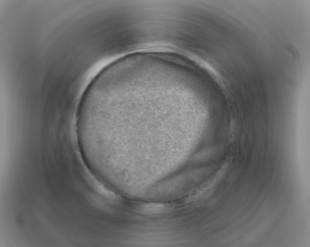 X0000113571470200910161507