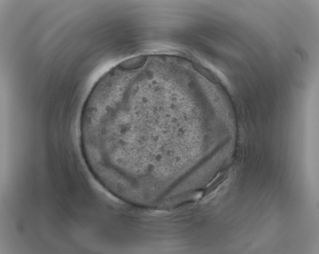 X0000113571471200910161507