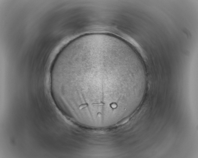 X0000113571472200910161507