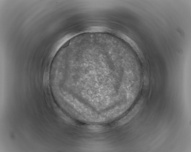 X0000113571473200910161507