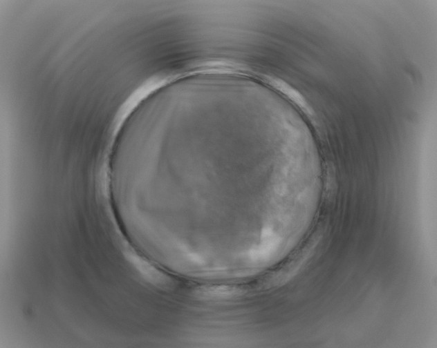 X0000113571474200910161507