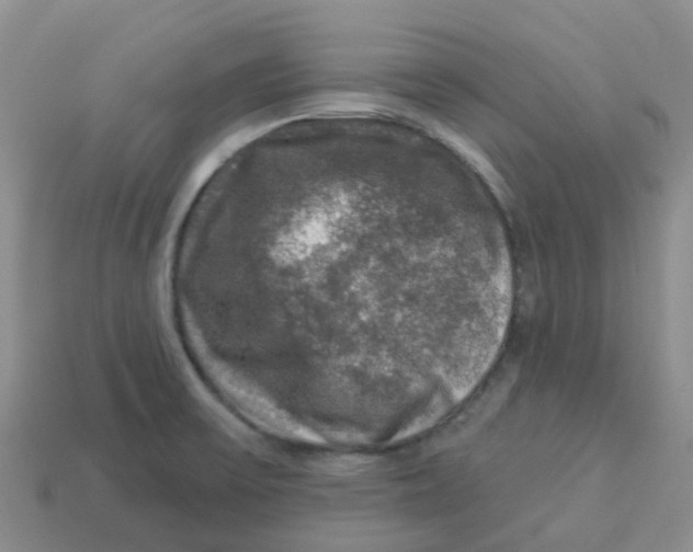 X0000113571475200910161507