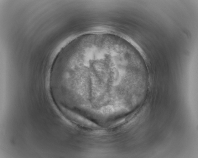 X0000113571477200910161507