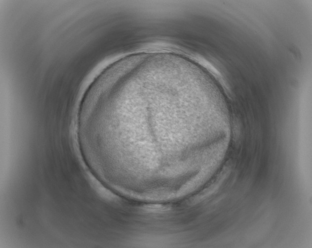 X0000113571478200910161507