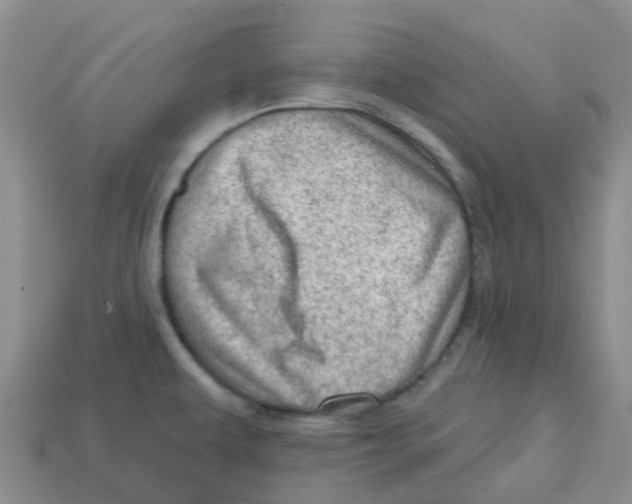 X0000113571479200910161507