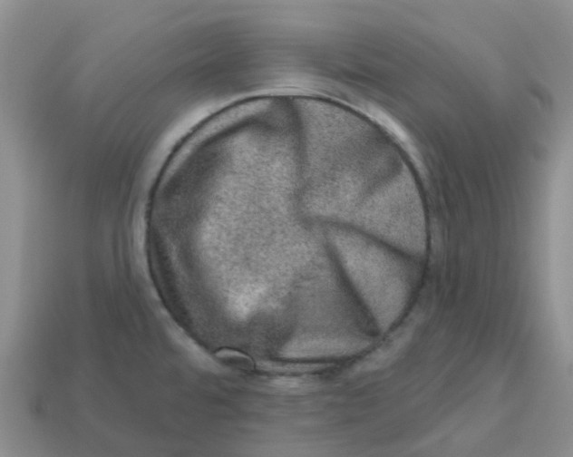 X0000113571480200910161507