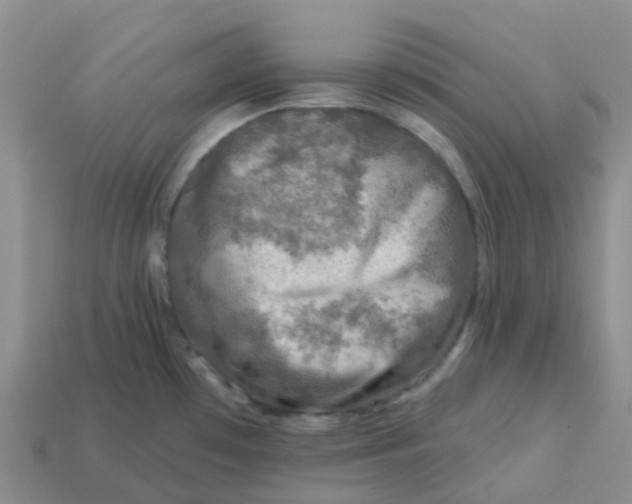 X0000113571481200910161507