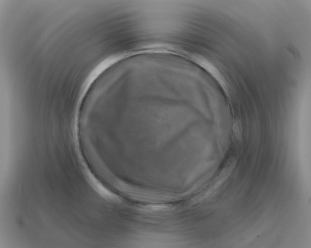 X0000113571482200910161507