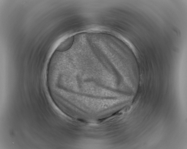 X0000113571483200910161507